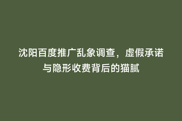 沈阳百度推广乱象调查，虚假承诺与隐形收费背后的猫腻