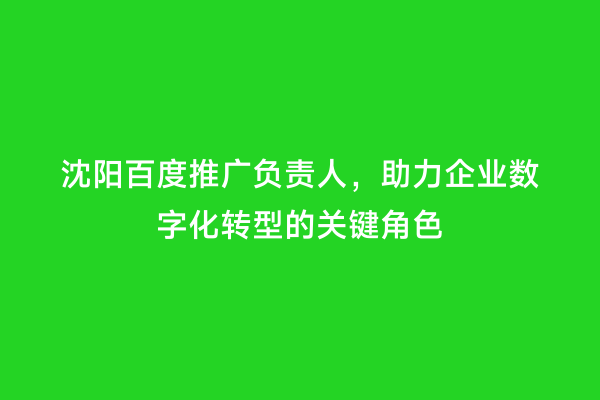 沈阳百度推广负责人，助力企业数字化转型的关键角色
