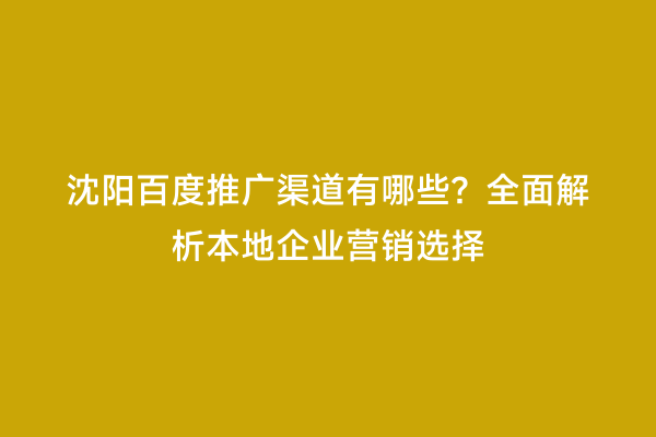 沈阳百度推广渠道有哪些？全面解析本地企业营销选择