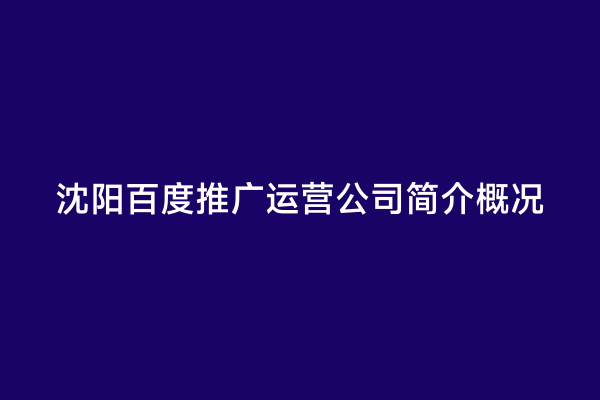 沈阳百度推广运营公司简介概况