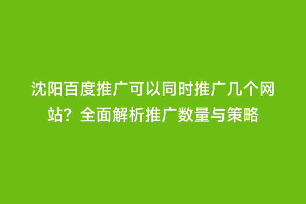 沈阳百度推广可以同时推广几个网站？全面解析推广数量与策略