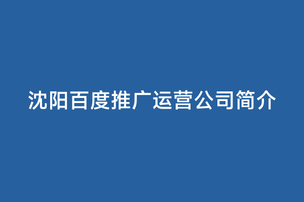 沈阳百度推广运营公司简介