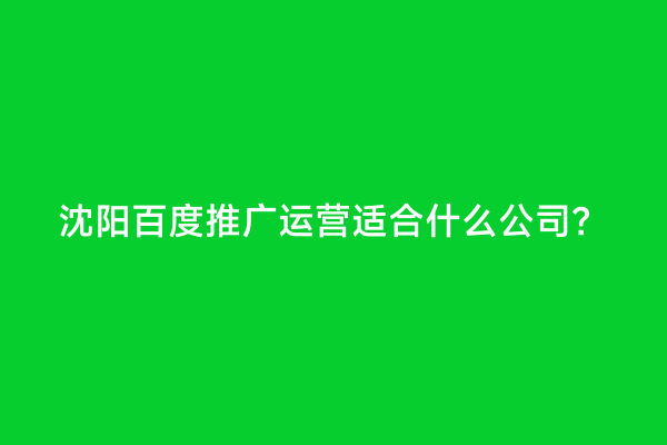 沈阳百度推广运营适合什么公司？