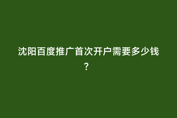 沈阳百度推广首次开户需要多少钱？