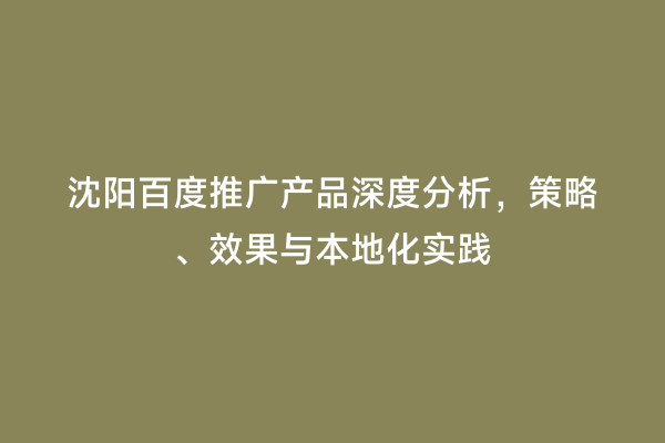 沈阳百度推广产品深度分析，策略、效果与本地化实践