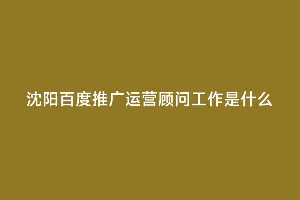 沈阳百度推广运营顾问工作是什么