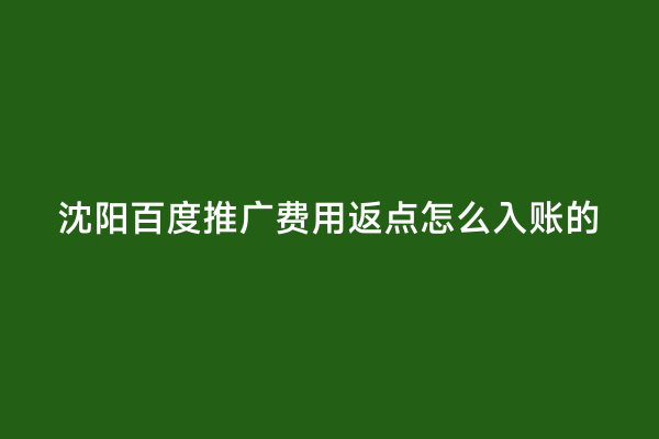 沈阳百度推广费用返点怎么入账的