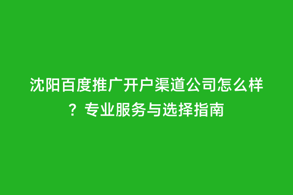 沈阳百度推广开户渠道公司怎么样？专业服务与选择指南