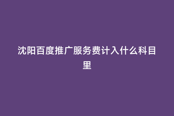 沈阳百度推广服务费计入什么科目里