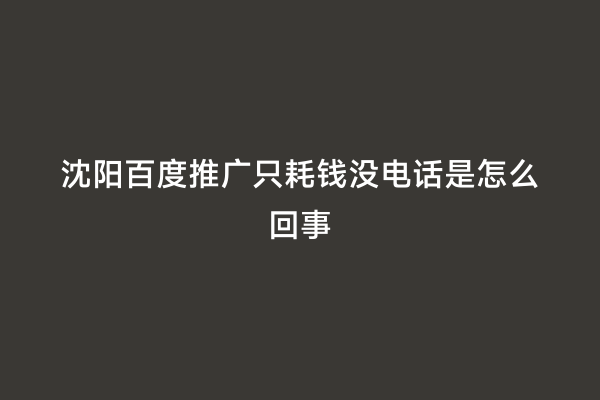 沈阳百度推广只耗钱没电话是怎么回事
