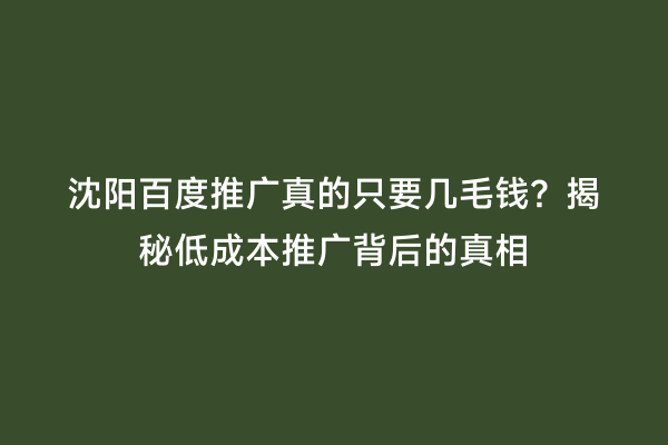 沈阳百度推广真的只要几毛钱？揭秘低成本推广背后的真相