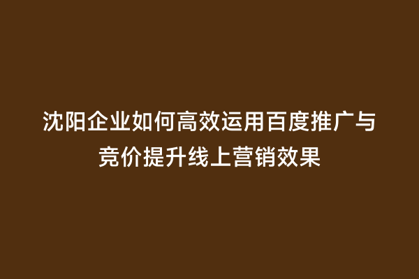 沈阳企业如何高效运用百度推广与竞价提升线上营销效果