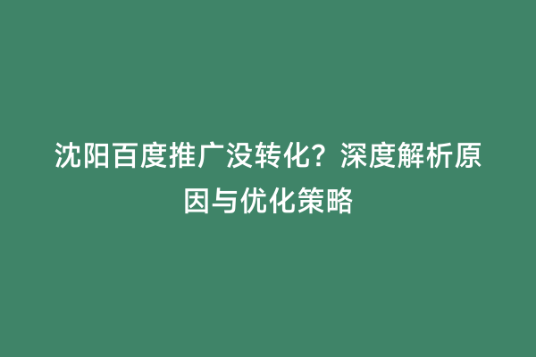 沈阳百度推广没转化？深度解析原因与优化策略