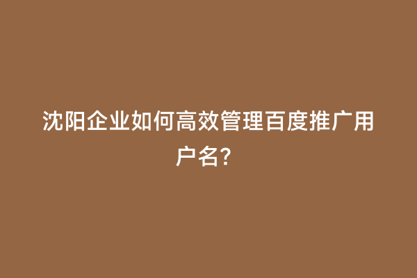 沈阳企业如何高效管理百度推广用户名？