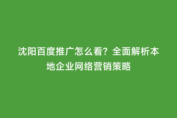 沈阳百度推广怎么看？全面解析本地企业网络营销策略
