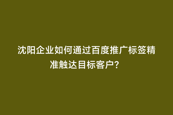 沈阳企业如何通过百度推广标签精准触达目标客户？