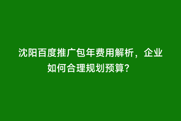 沈阳百度推广包年费用解析，企业如何合理规划预算？