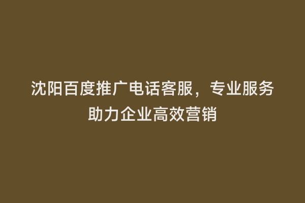 沈阳百度推广电话客服，专业服务助力企业高效营销