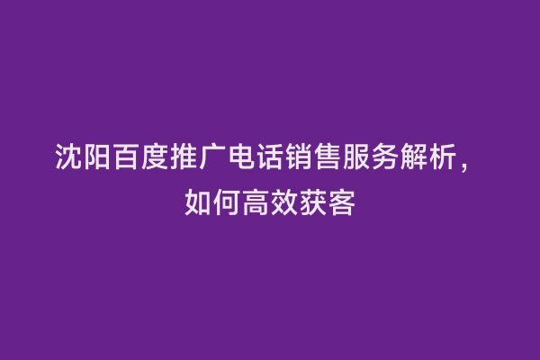 沈阳百度推广电话销售服务解析，如何高效获客