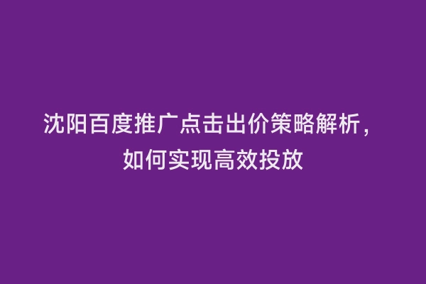 沈阳百度推广点击出价策略解析，如何实现高效投放