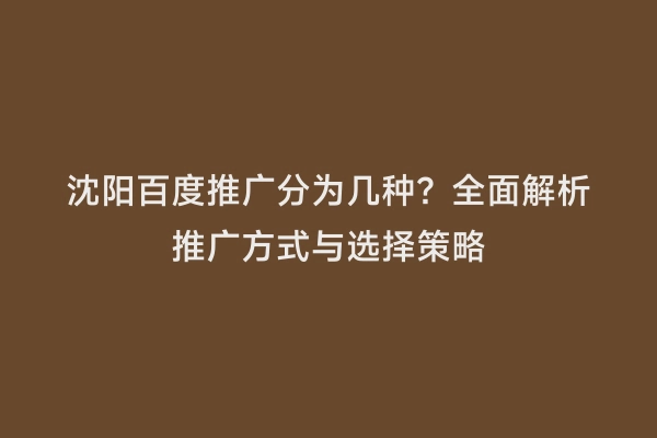 沈阳百度推广分为几种？全面解析推广方式与选择策略