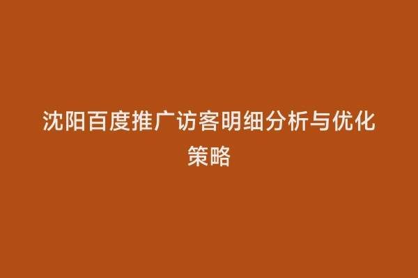沈阳百度推广访客明细分析与优化策略