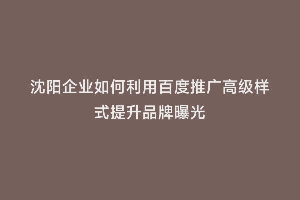 沈阳企业如何利用百度推广高级样式提升品牌曝光