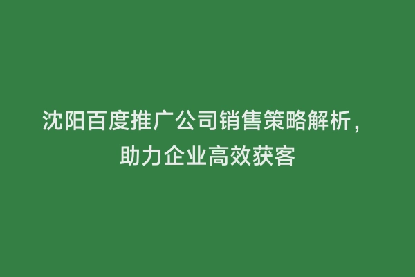 沈阳百度推广公司销售策略解析，助力企业高效获客