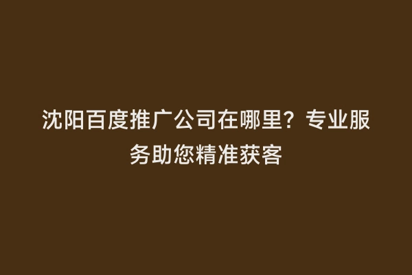 沈阳百度推广公司在哪里？专业服务助您精准获客