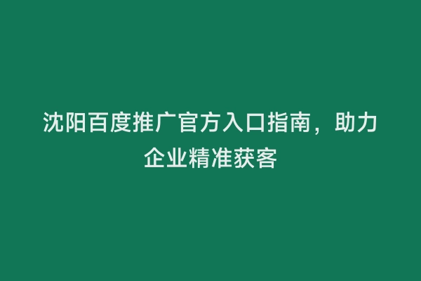 沈阳百度推广官方入口指南，助力企业精准获客