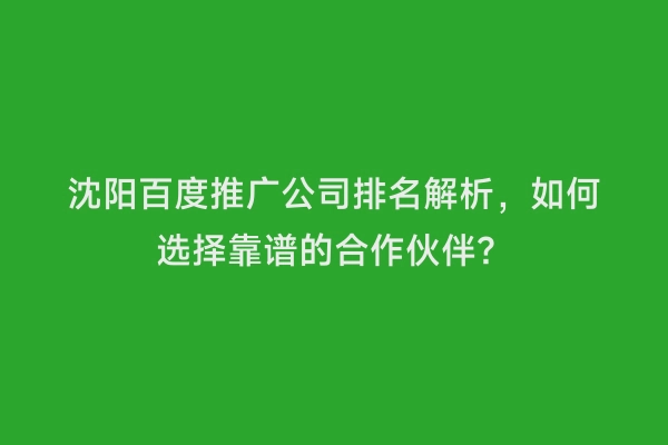 沈阳百度推广公司排名解析，如何选择靠谱的合作伙伴？