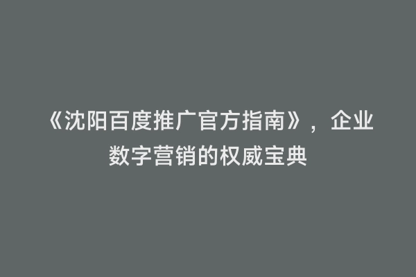 《沈阳百度推广官方指南》，企业数字营销的权威宝典