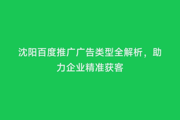 沈阳百度推广广告类型全解析，助力企业精准获客