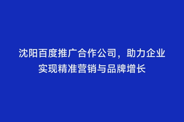 沈阳百度推广合作公司，助力企业实现精准营销与品牌增长