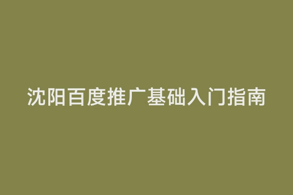 沈阳百度推广基础入门指南