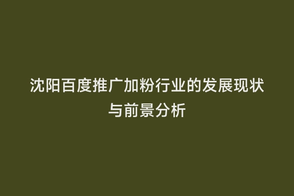 沈阳百度推广加粉行业的发展现状与前景分析