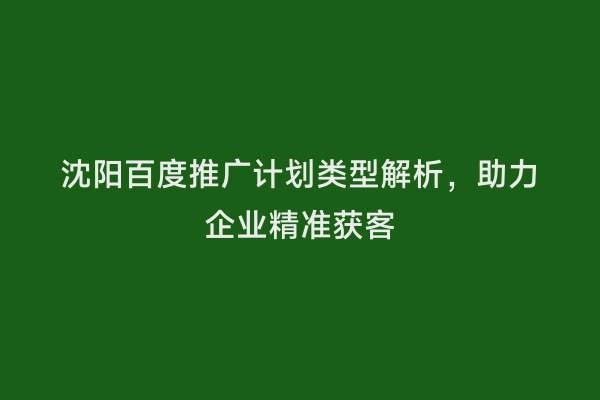 沈阳百度推广计划类型解析，助力企业精准获客