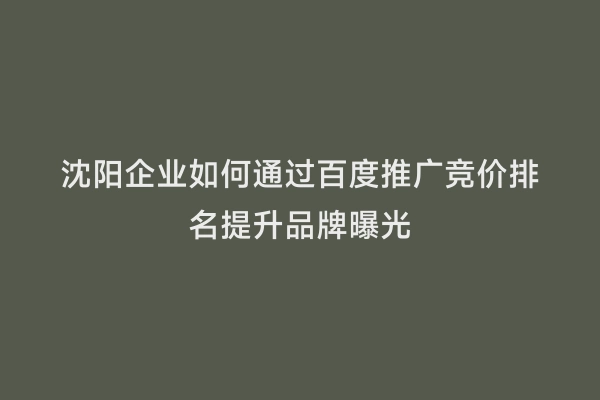 沈阳企业如何通过百度推广竞价排名提升品牌曝光