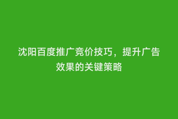 沈阳百度推广竞价技巧，提升广告效果的关键策略