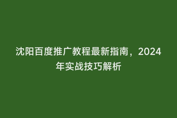 沈阳百度推广教程最新指南，2024年实战技巧解析