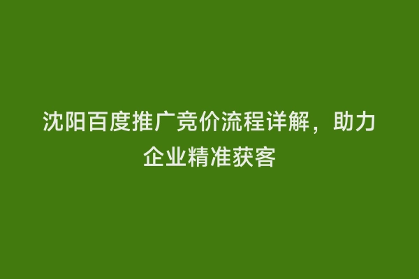 沈阳百度推广竞价流程详解，助力企业精准获客