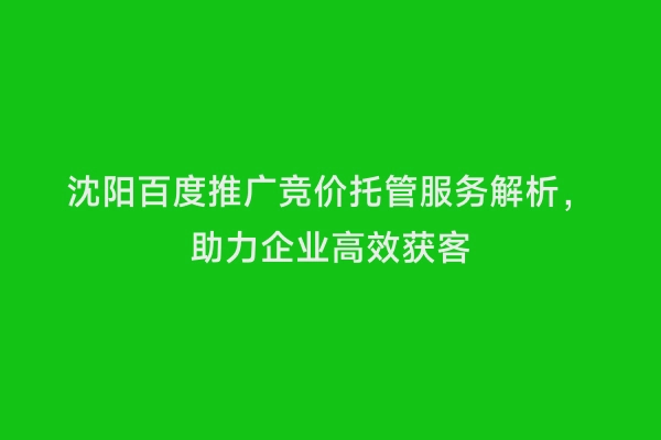 沈阳百度推广竞价托管服务解析，助力企业高效获客