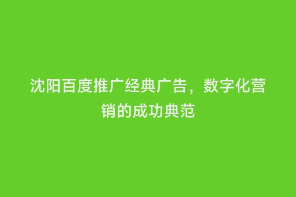 沈阳百度推广经典广告，数字化营销的成功典范