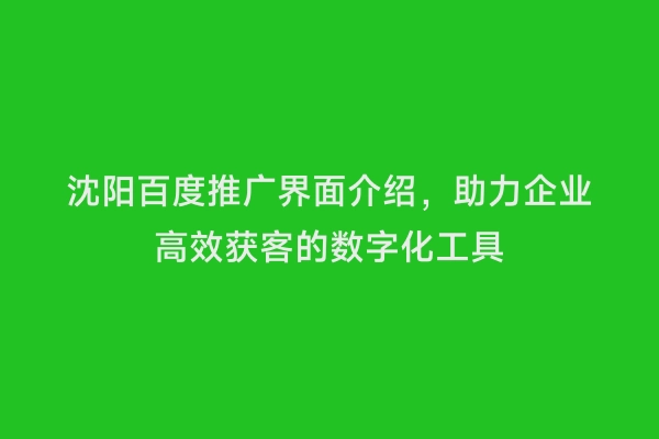 沈阳百度推广界面介绍，助力企业高效获客的数字化工具