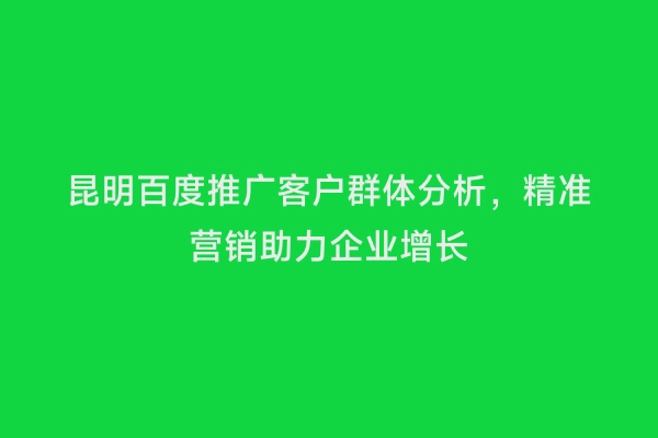 昆明百度推广客户群体分析，精准营销助力企业增长