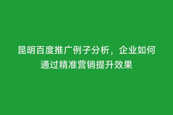 昆明百度推广例子分析，企业如何通过精准营销提升效果