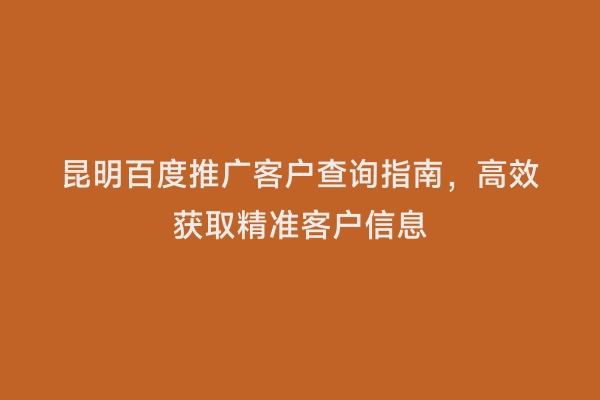 昆明百度推广客户查询指南，高效获取精准客户信息