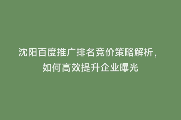沈阳百度推广排名竞价策略解析，如何高效提升企业曝光
