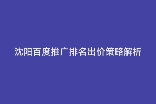 沈阳百度推广排名出价策略解析