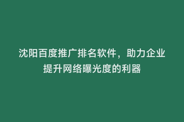 沈阳百度推广排名软件，助力企业提升网络曝光度的利器